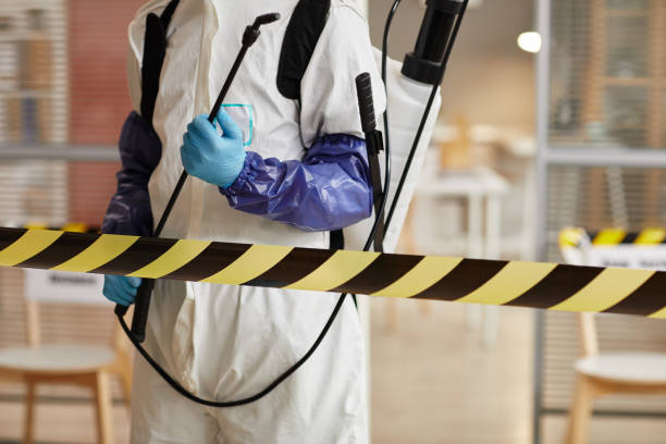Professional Sewage Cleanup technician working in Rosburg, WA